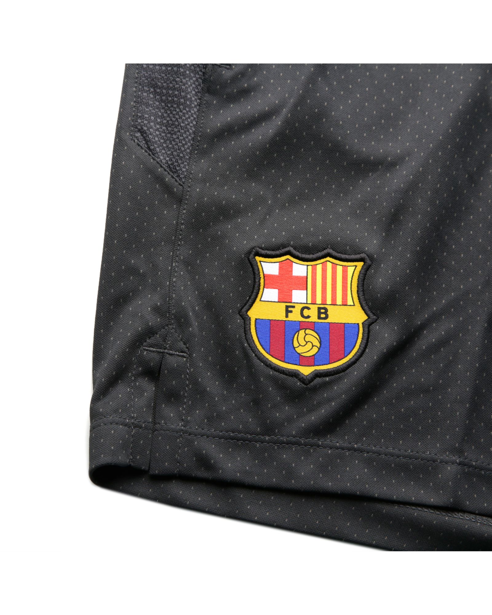 Pantalón de Training FC Barcelona 2019/2020 Dry Squad Gris - Fútbol Factory