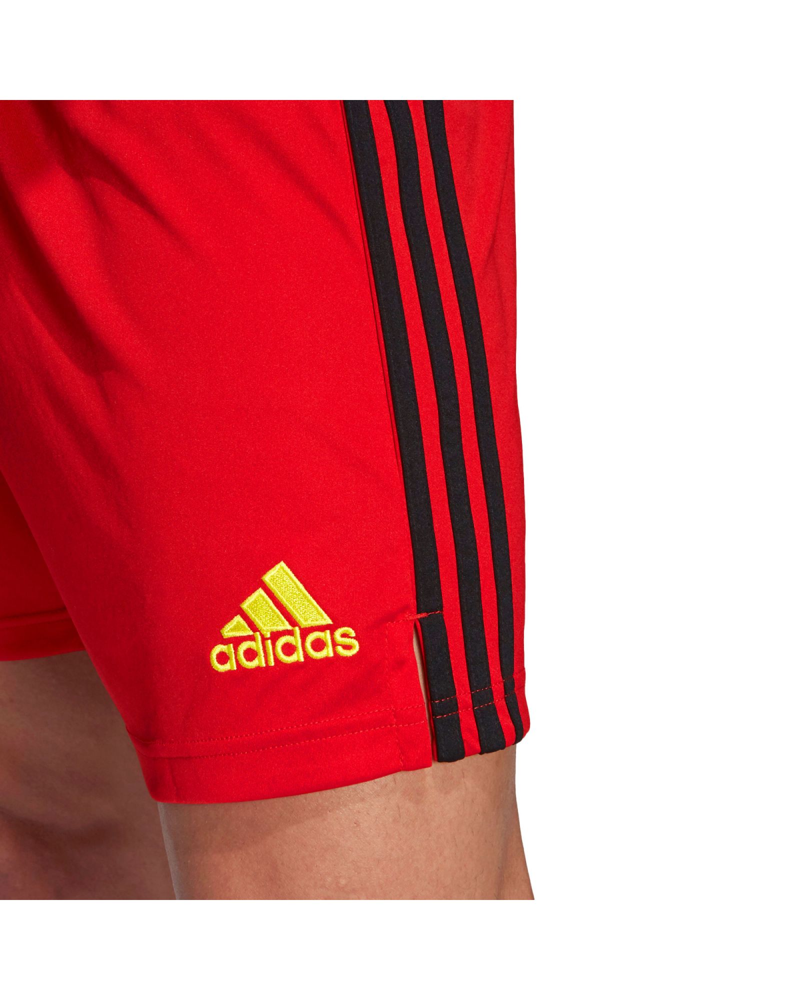 Pantalón 1ª Bélgica Eurocopa 2021 - Fútbol Factory