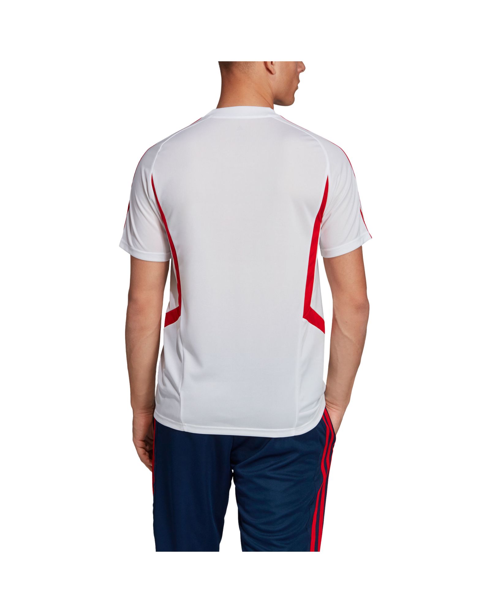 Camiseta de Training Arsenal FC 2019/2020 Blanco - Fútbol Factory