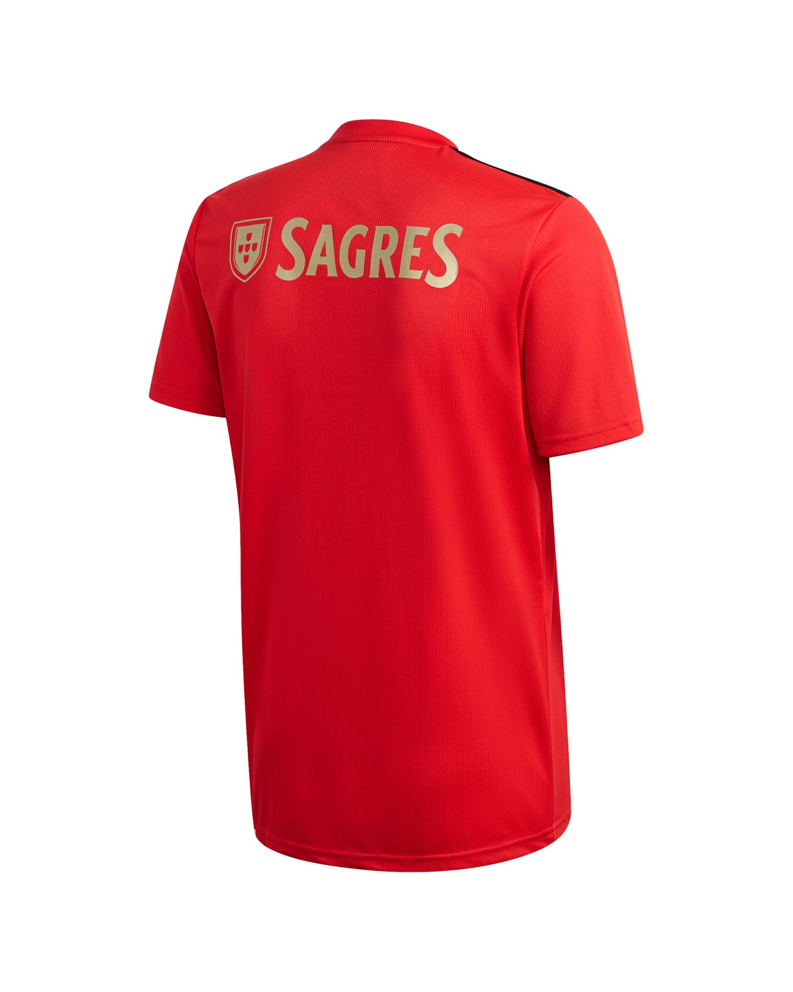 Camiseta 1ª Benfica 2020/2021 Rojo - Fútbol Factory