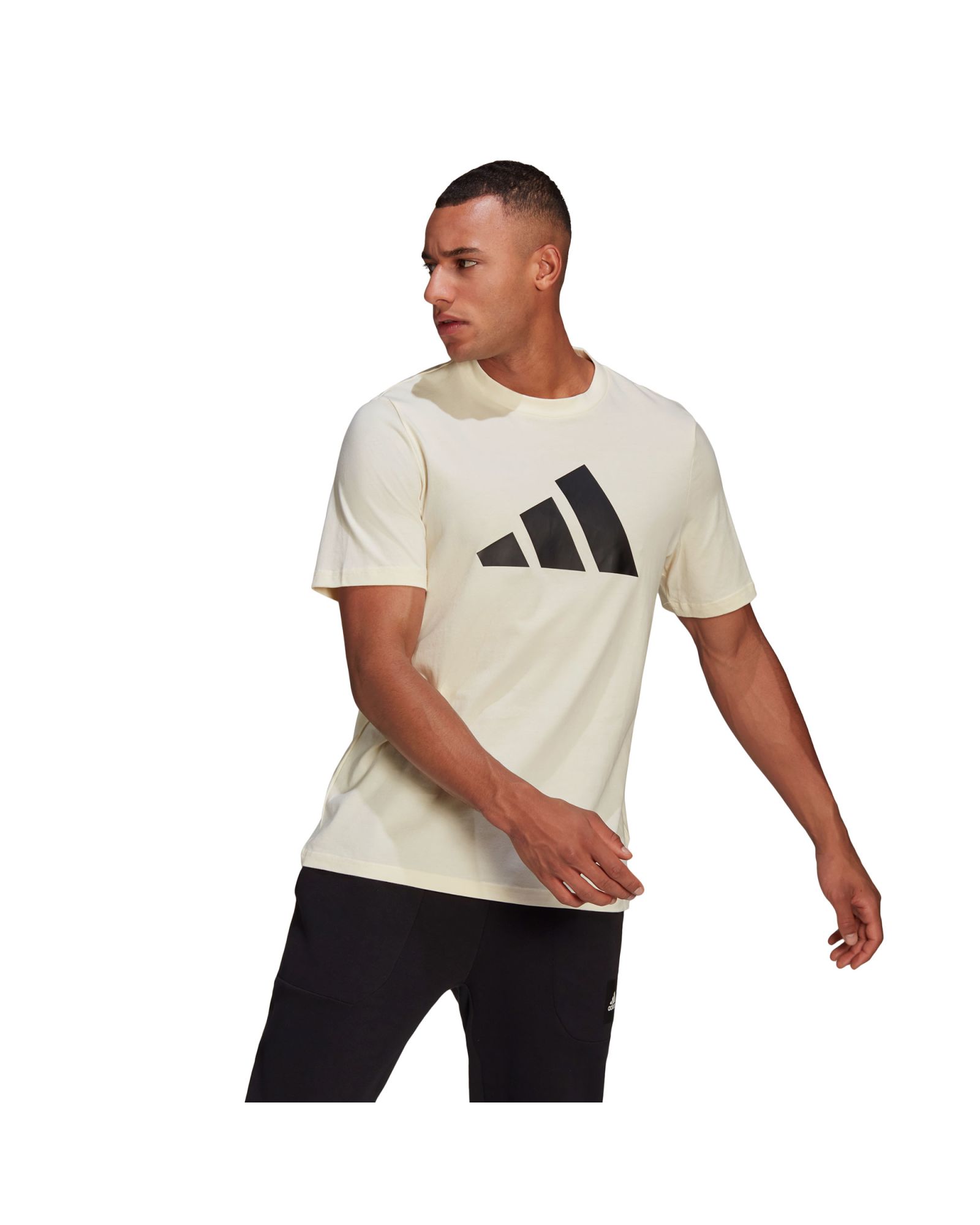 Camiseta adidas Sportswear Logo - Fútbol Factory