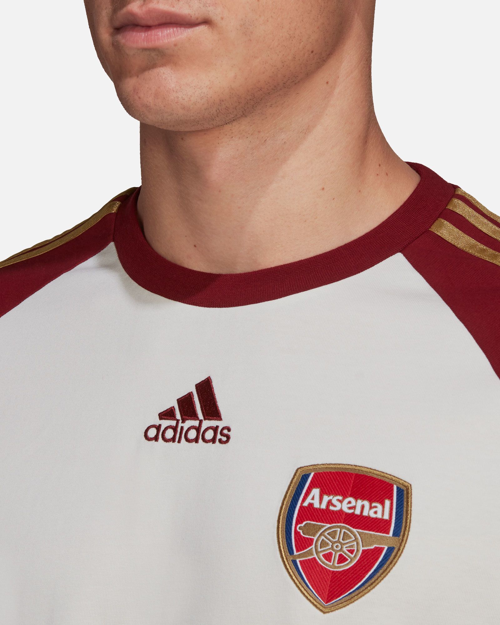 Camiseta Arsenal FC 2021/2022 Teamgeist - Fútbol Factory