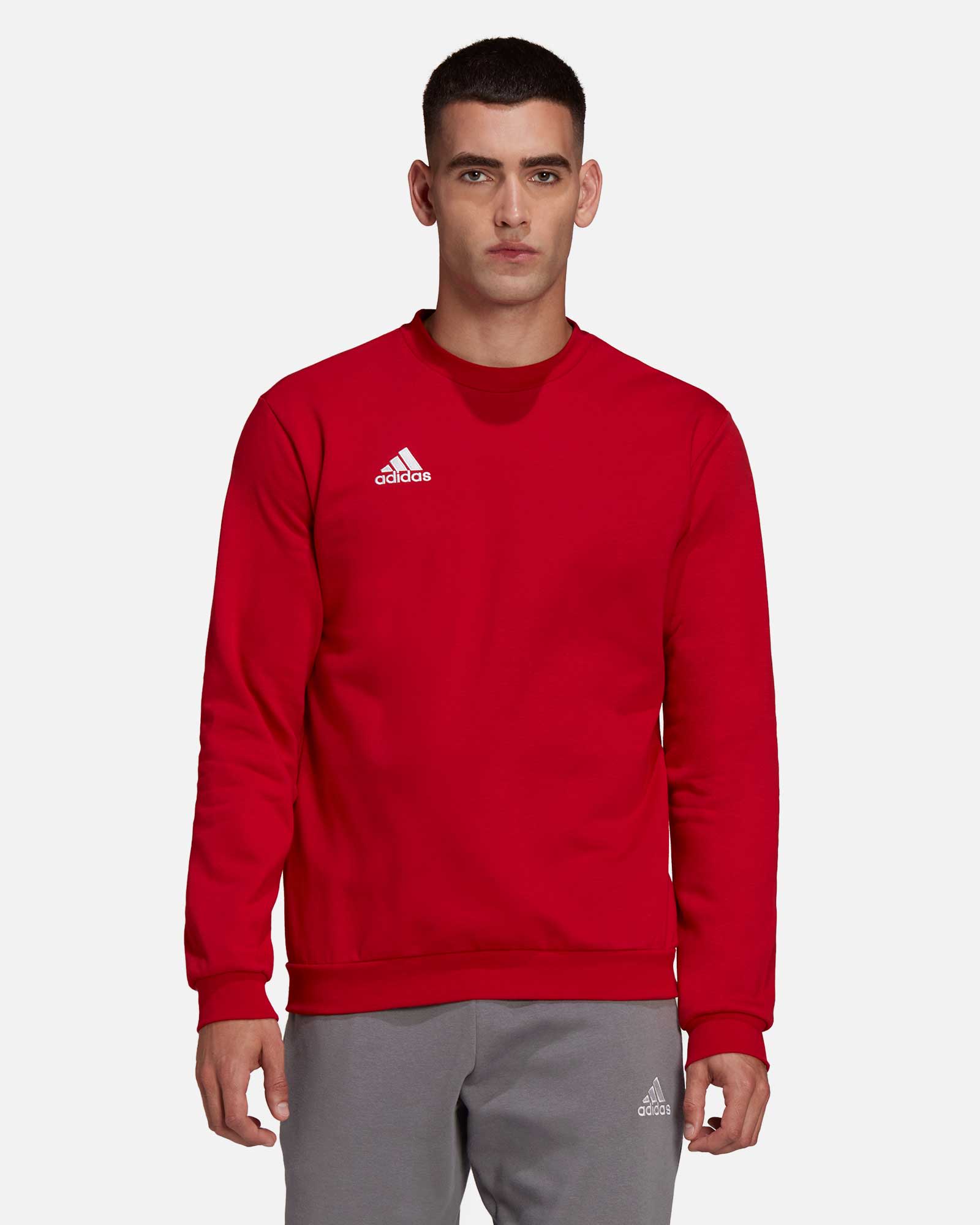 Sudadera adidas Entrada 22 Top