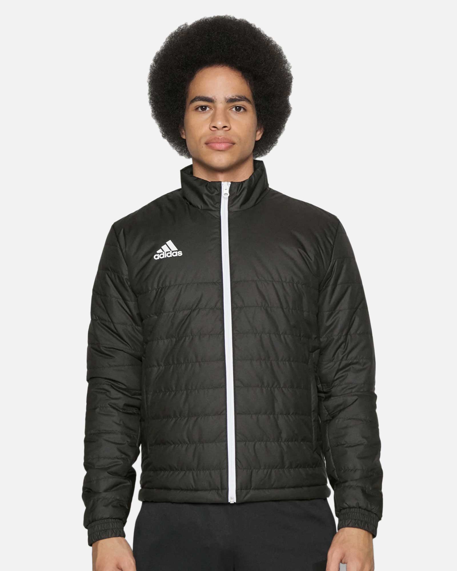 Chaqueta adidas Entrada 22