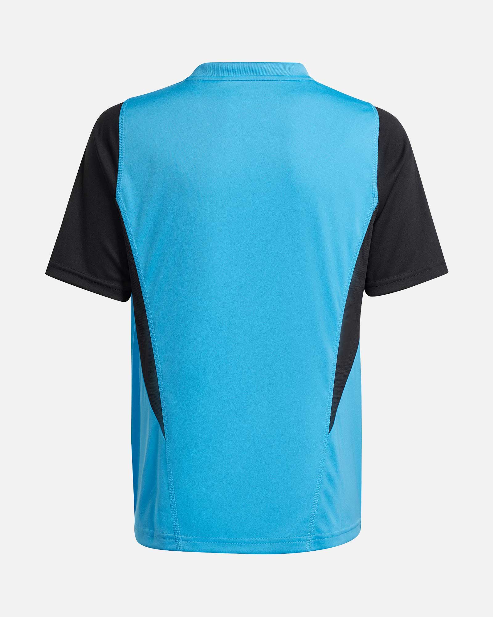 Camiseta de Entrenamiento Arsenal 2023-2024 Sin Mangas Azul