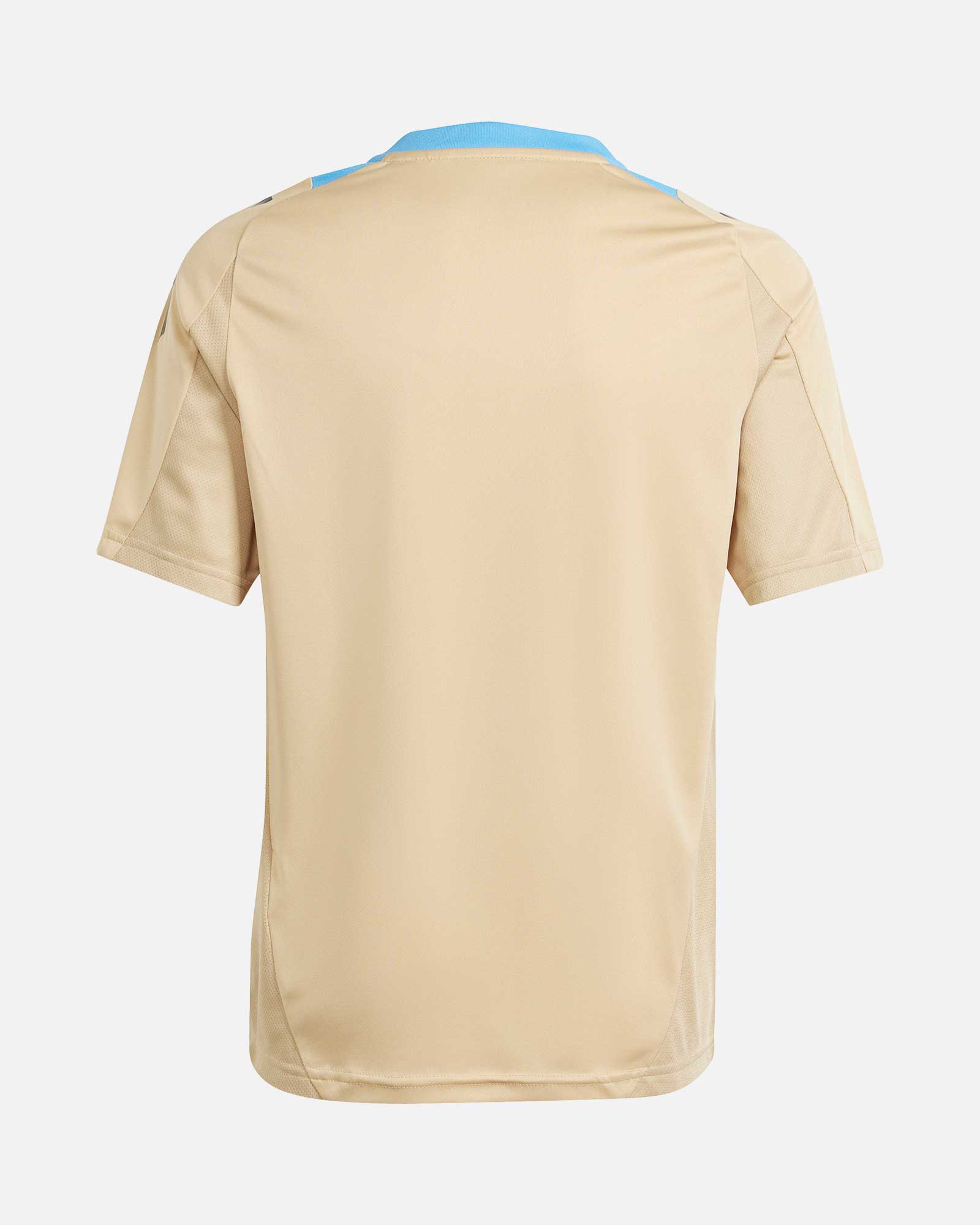 Camiseta Argentina Copa América 2024 TR - Fútbol Factory