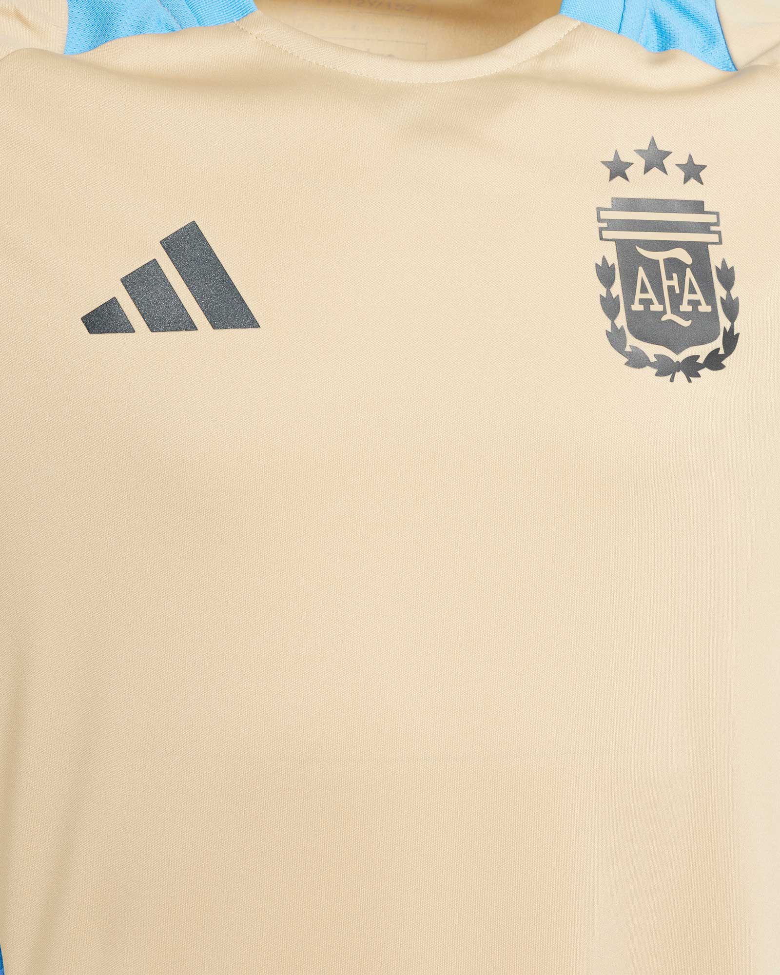 Camiseta Argentina Copa América 2024 TR - Fútbol Factory