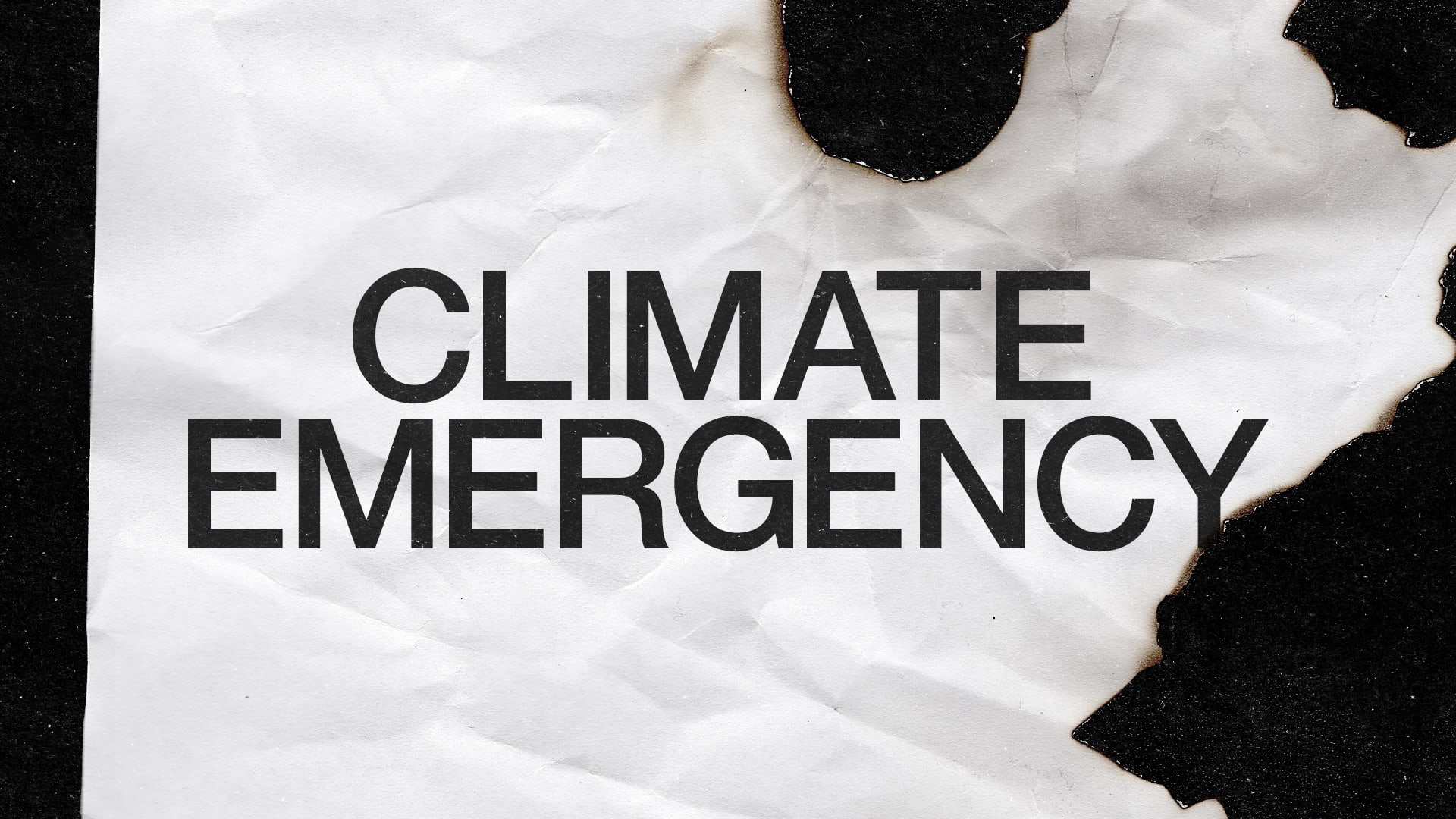 Why we're declaring a climate emergency. And how you could do it too. 