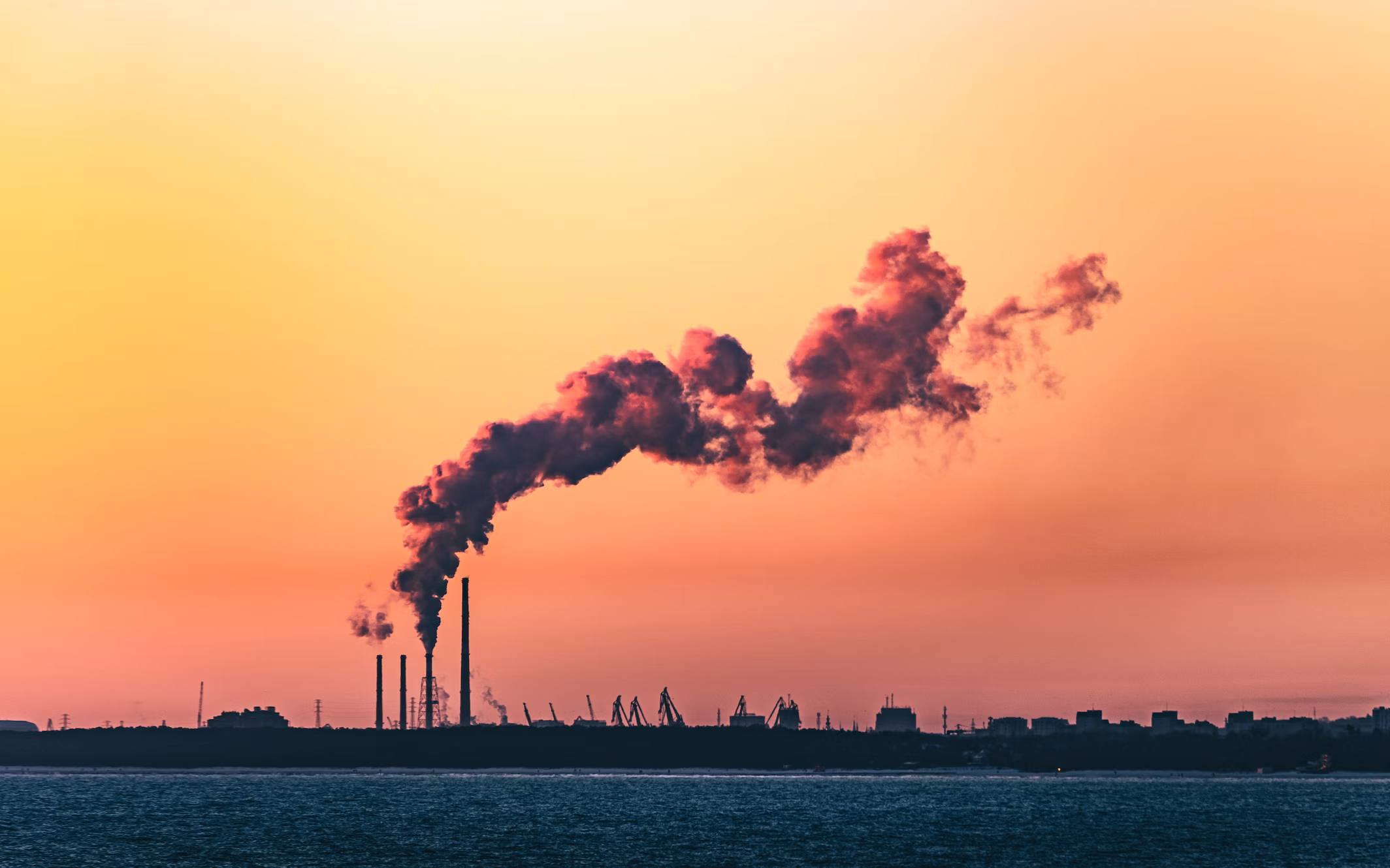 A report from Carbon Tracker reveals that many investors with net zero commitments are doing little to align their portfolios with a net zero future.