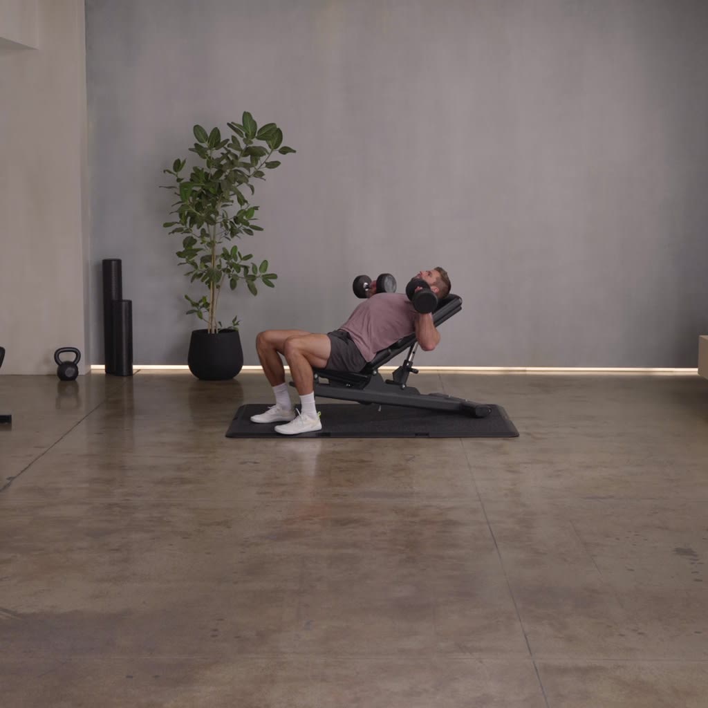 Lower Body Barbell & Dumbbell