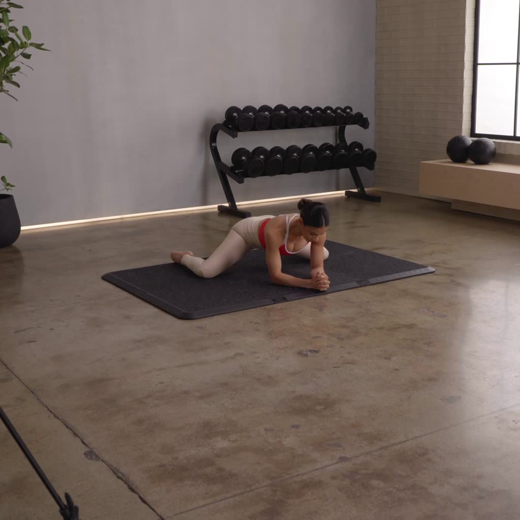 Full Body Dumbbell Medicine Ball