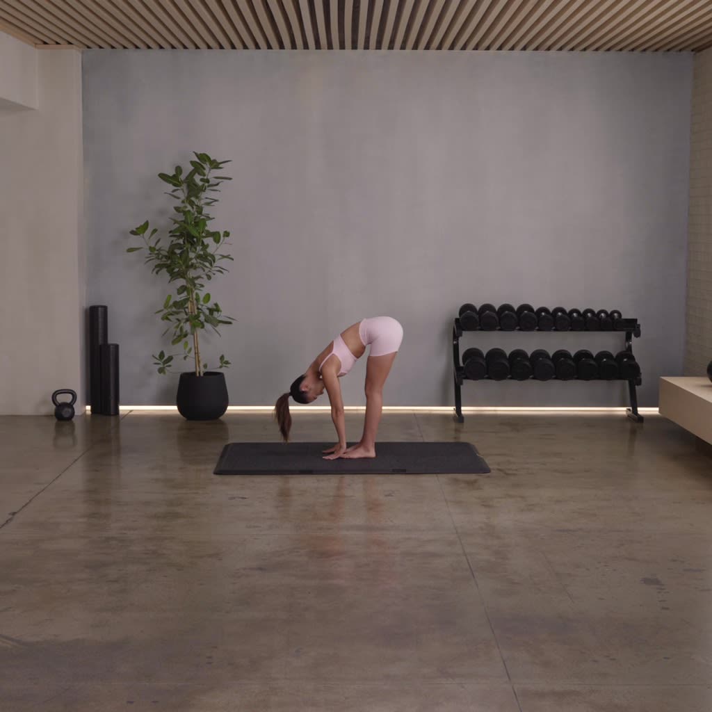 Full Body Dumbbell Strength Conditioning