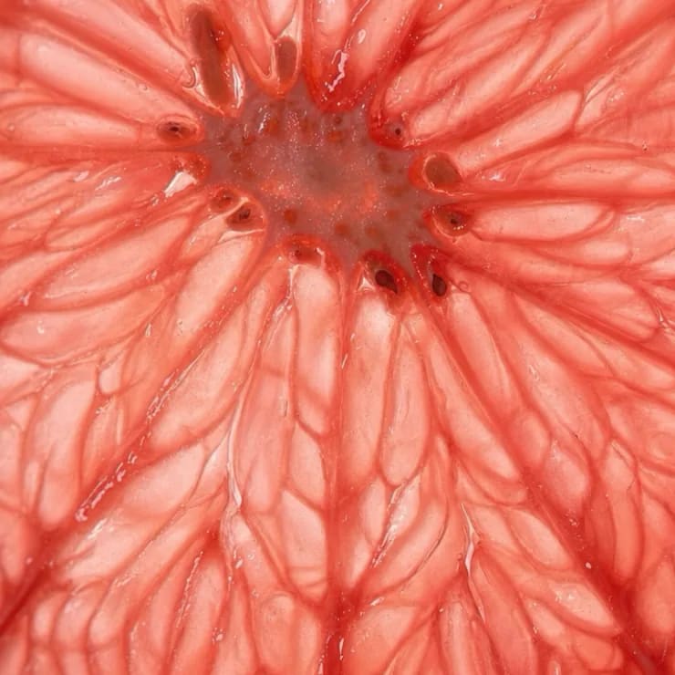 Bloodwork panel