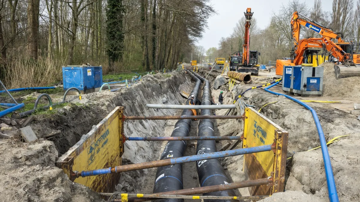 Hoe een belofte een nachtmerrie werd | Column