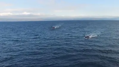 Wat staat er precies in het Marrakesh Immigratiepact?