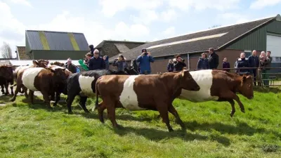 FVD dwingt spoeddebat af: wethouder weg na bestuurlijke blunder