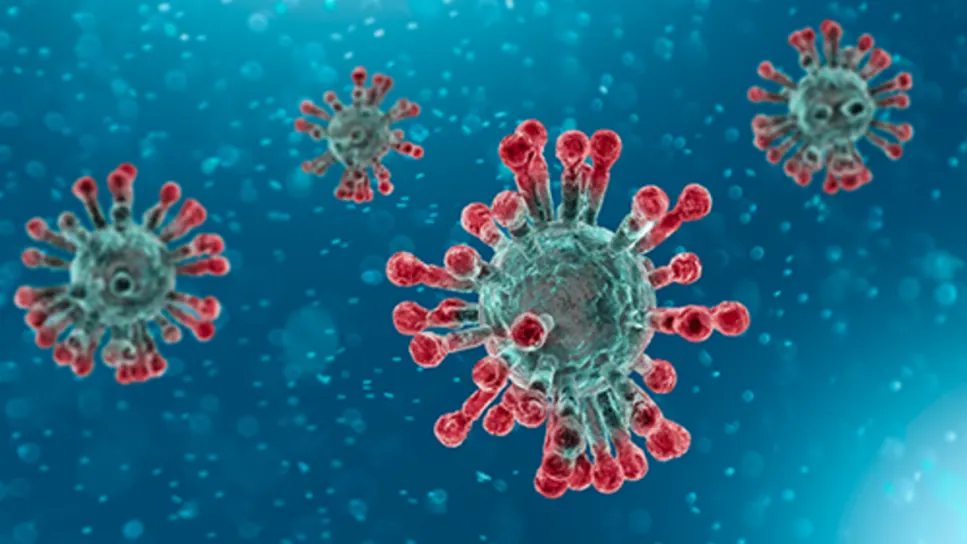 Het coronavirus grijpt om zich heen. Zó wil FVD het bestrijden!