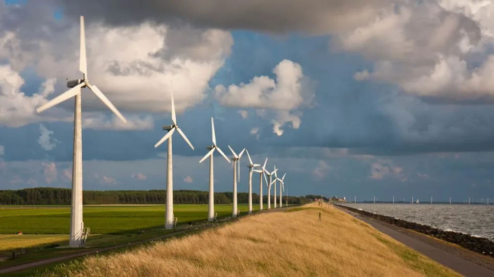 Het Groene Hart verkeert in gevaar en heeft hulp nodig