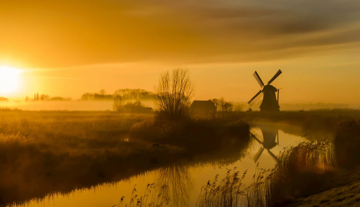 Stem Nederland terug: ons programma voor Nederland!