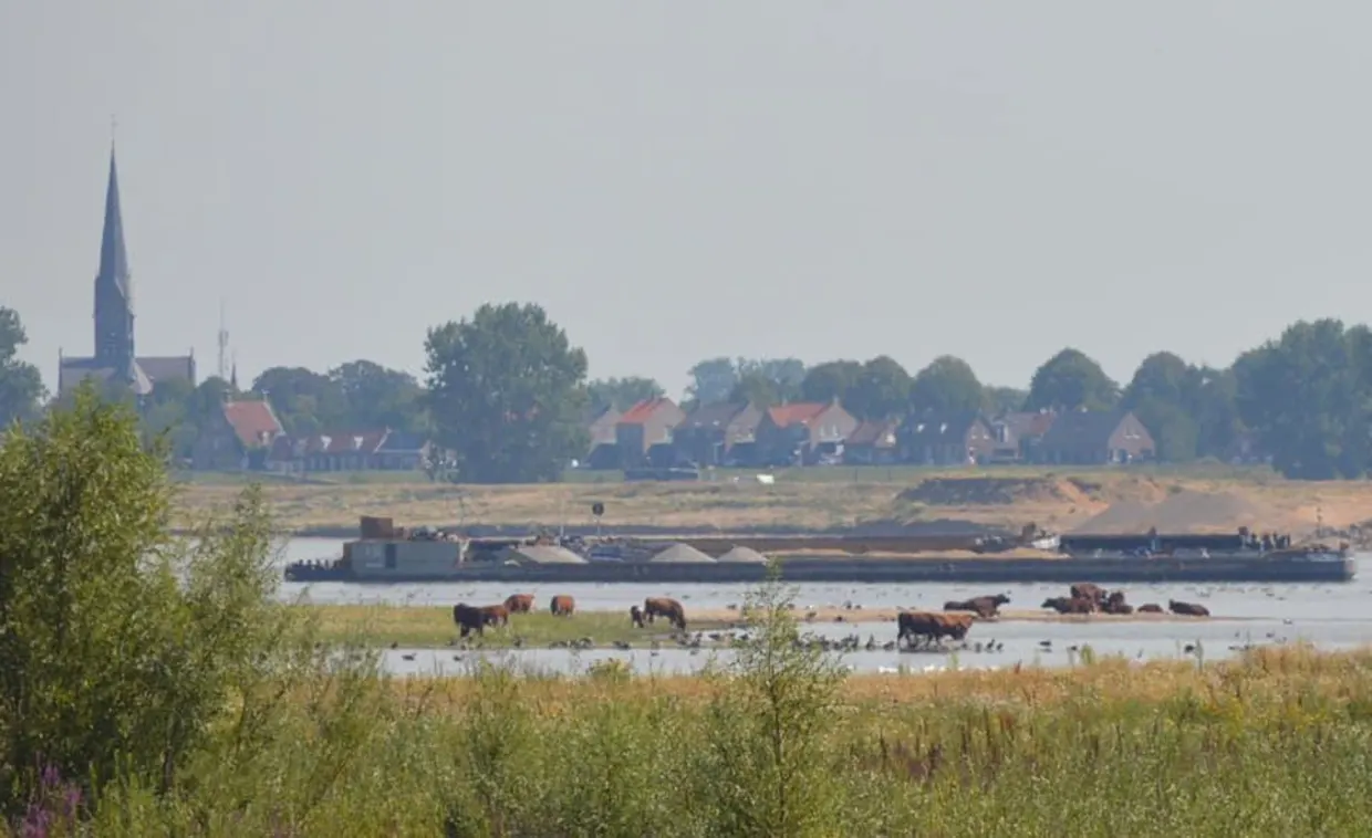 Buitenlands chemisch afval in Nederlands voedsel? FVD stelt Kamervragen!