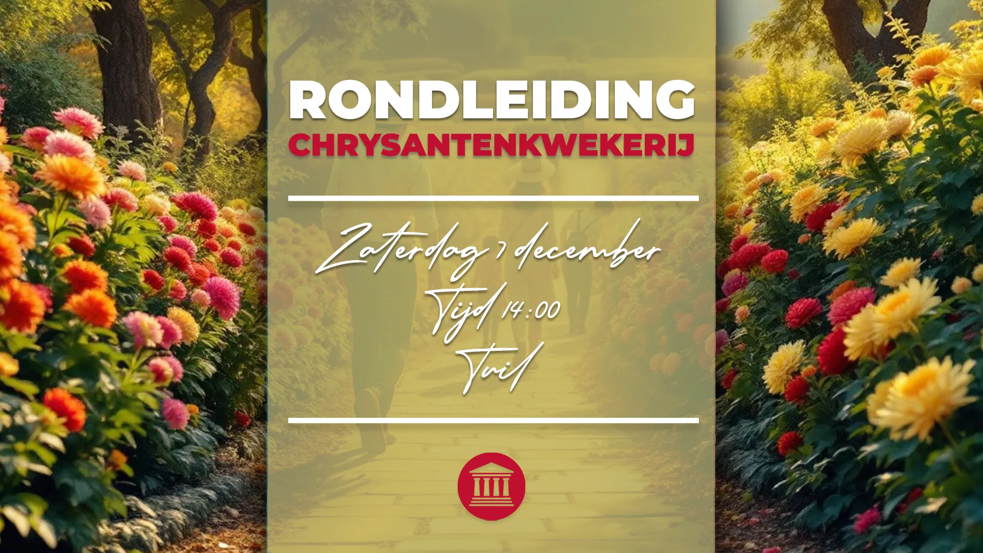 Rondleiding Chrysantenkwekerij