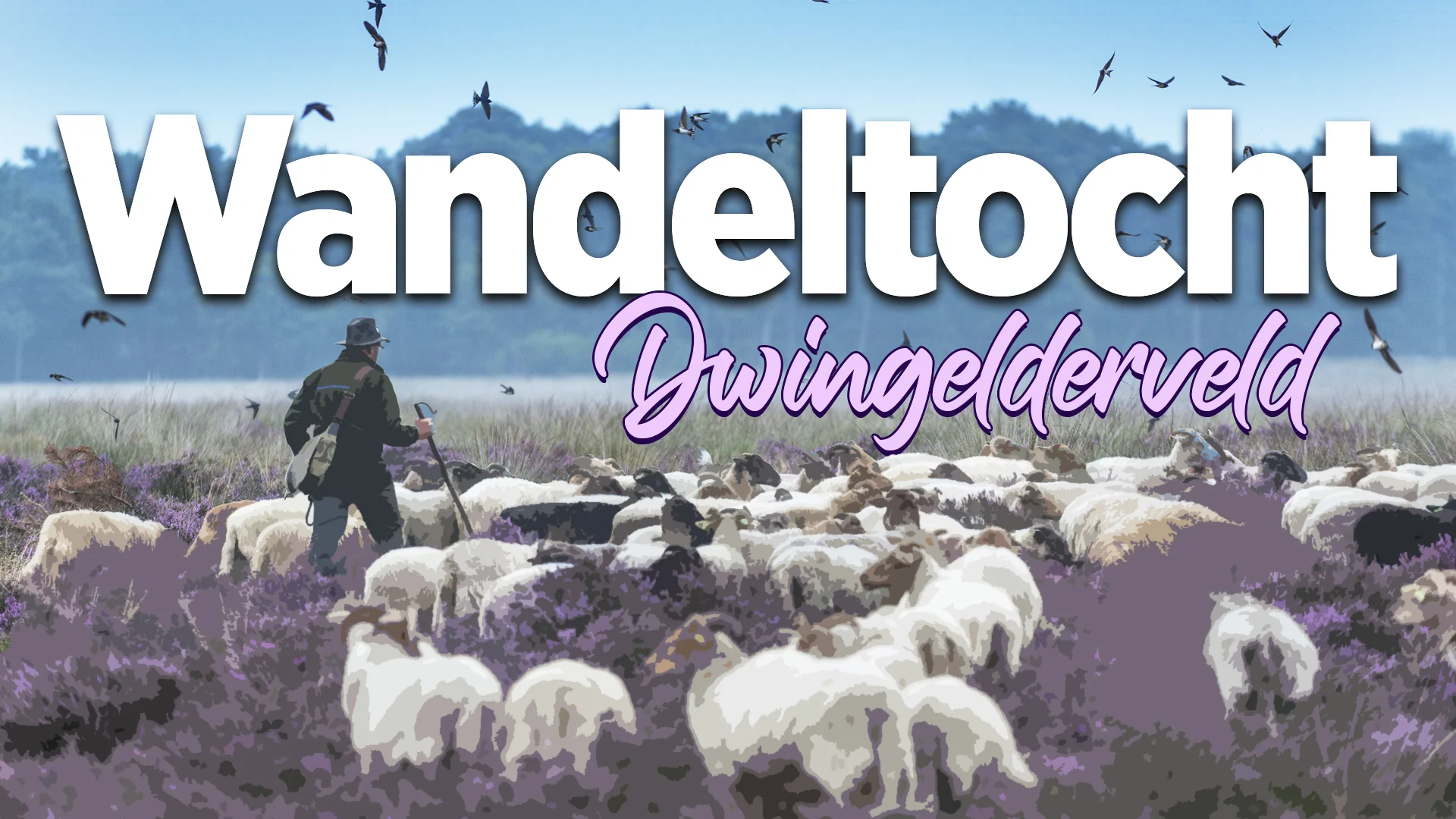 Natuurwandeling: Dwingelderveld