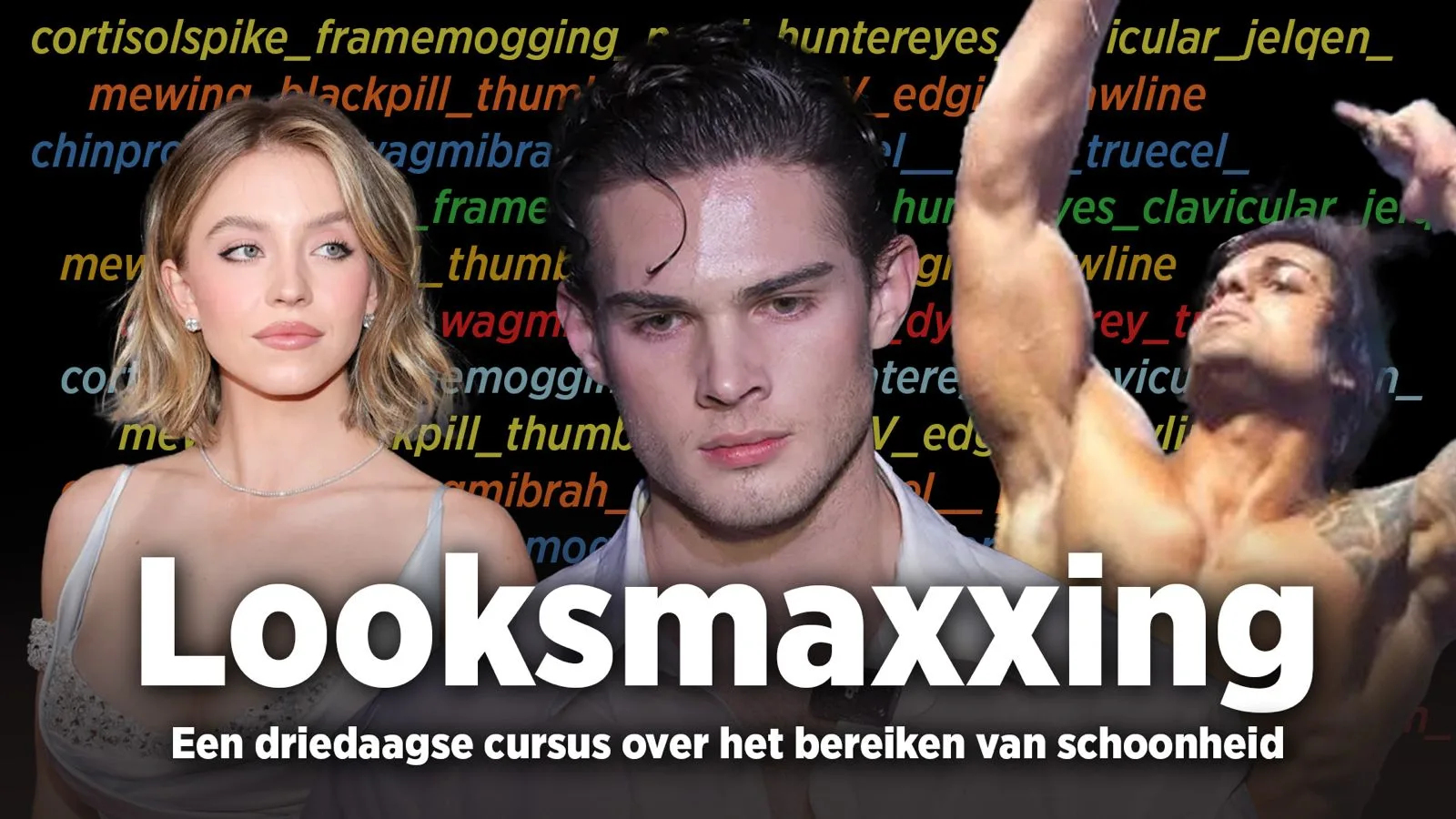 Driedaagse cursus looksmaxxing
