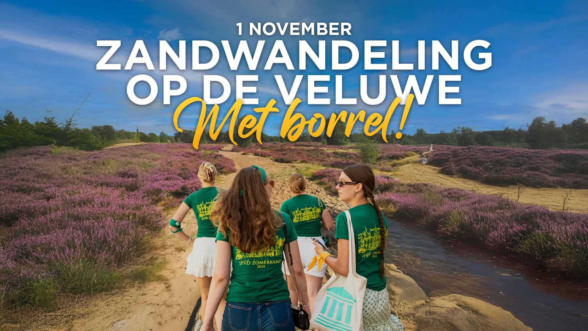Zandwandeling op de Veluwe