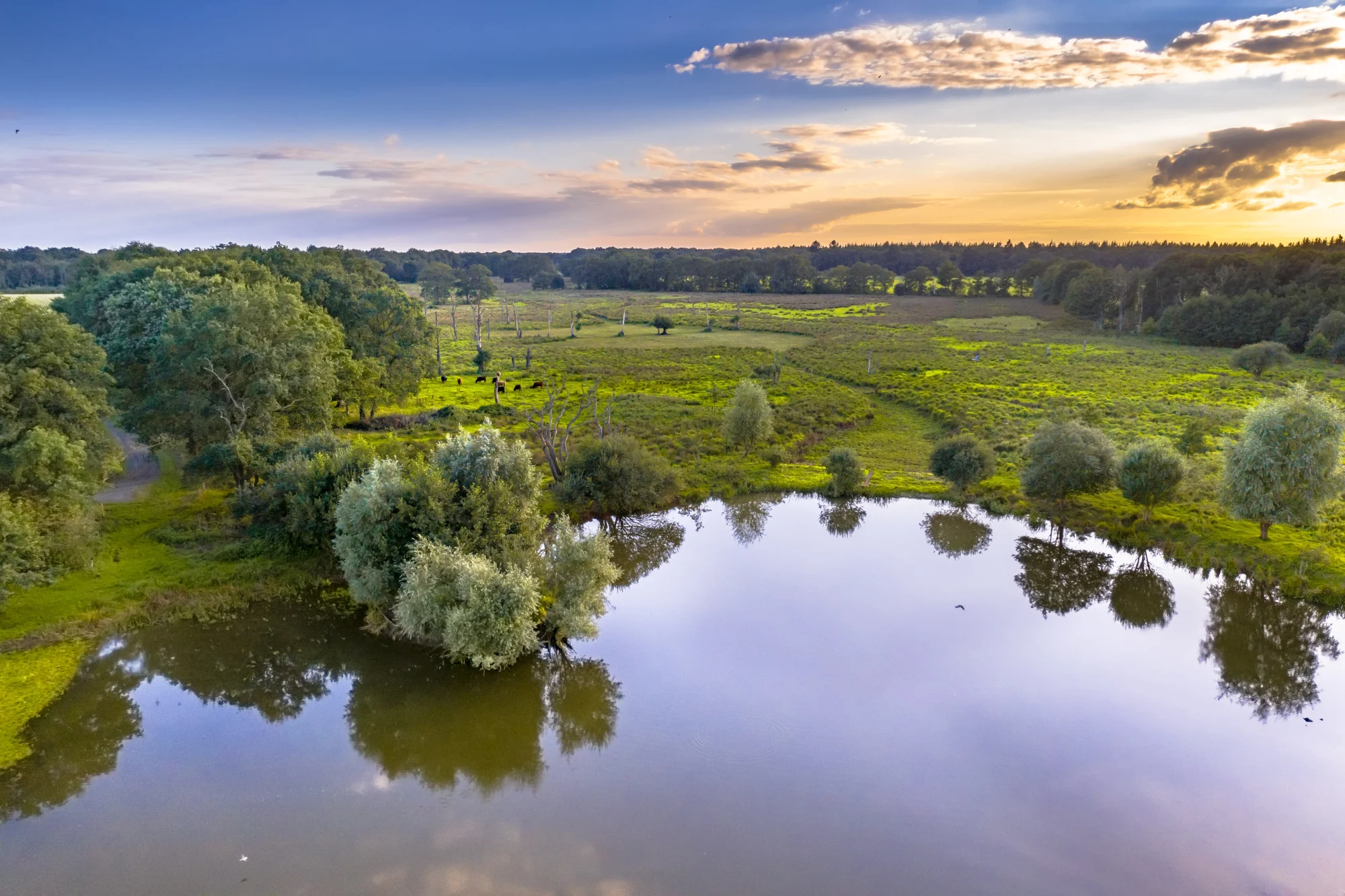 Drenthe