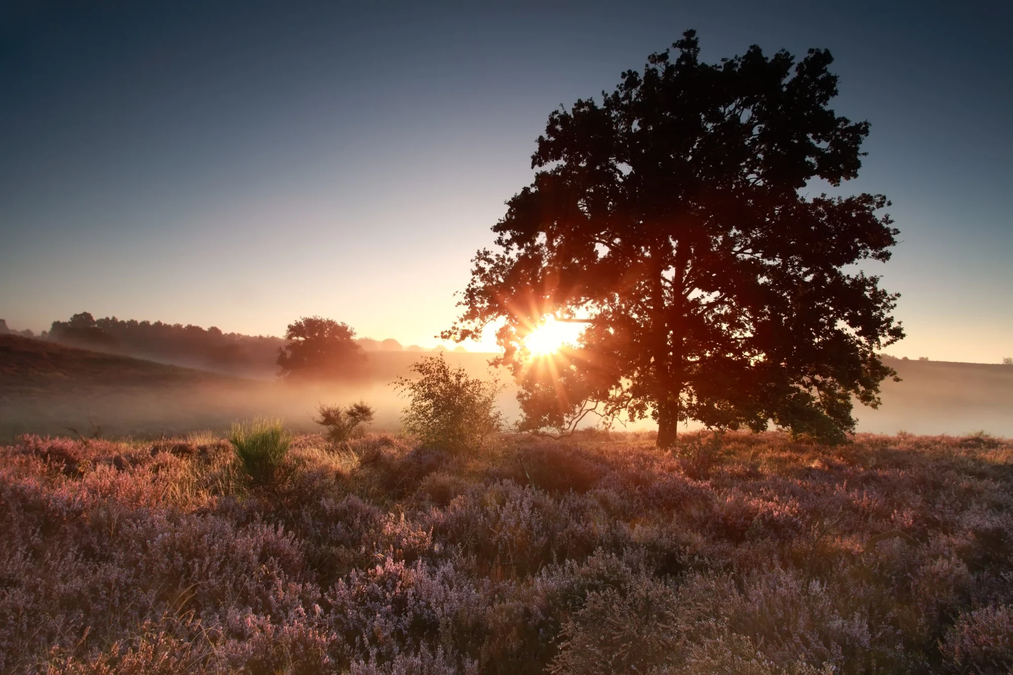 Gelderland