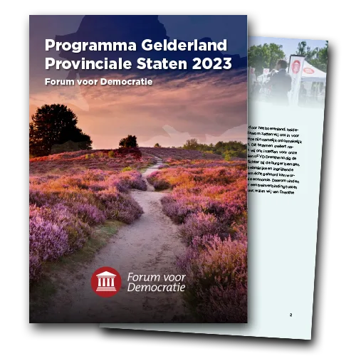 Verkiezingsprogramma