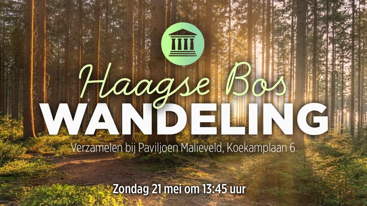 JFVD Wandeling in het Haagse Bos