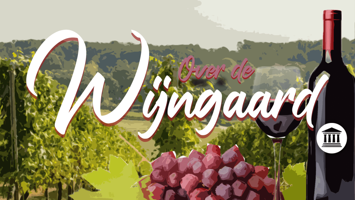 Bezoek aan een wijngaard