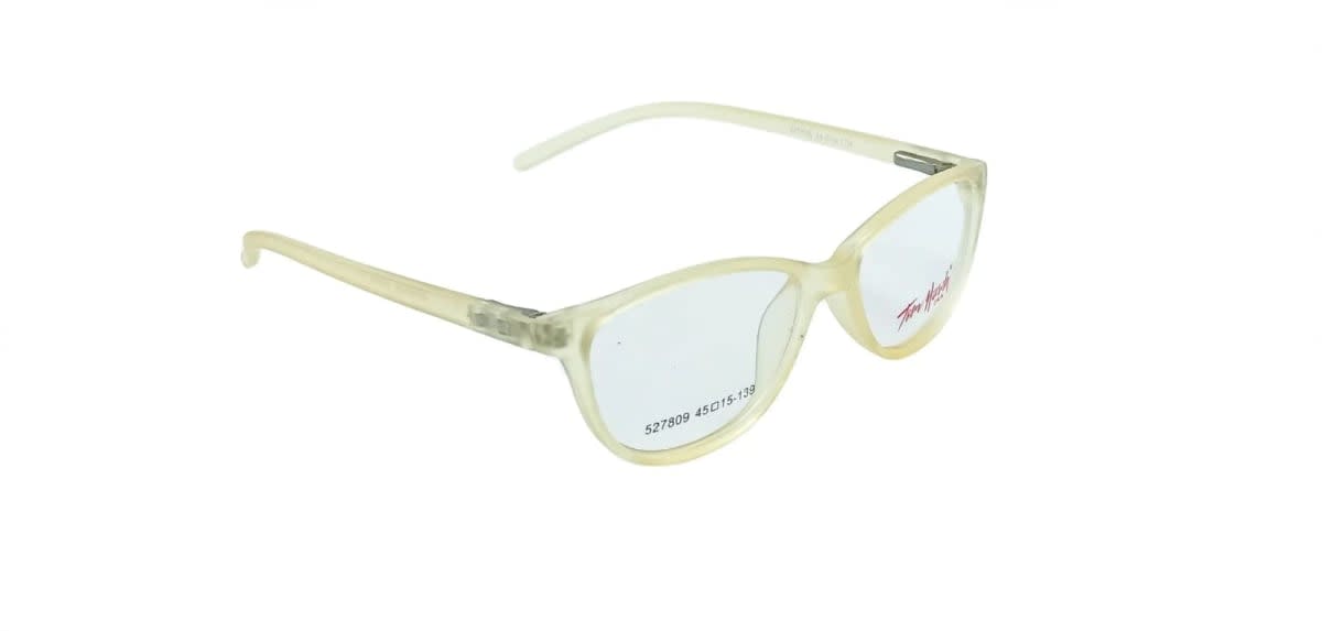 Clear Plastic Frame Glasses