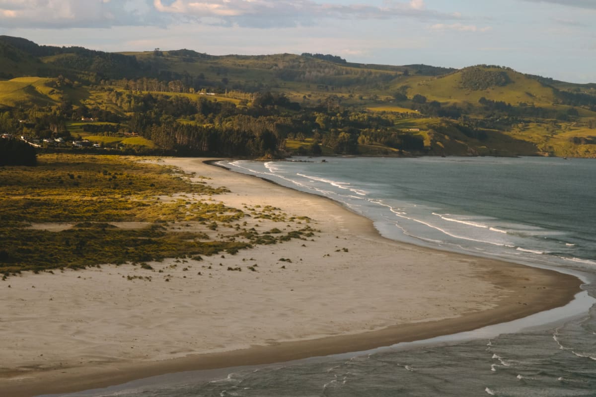 A wide sandy Dunedin beach curves along a calm blue ocean, backed by green, rolling hills and a scattered forest.