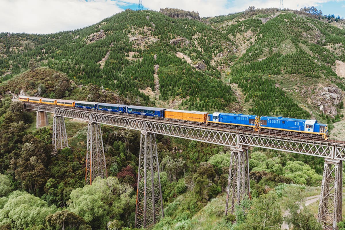 The Taieri Gorge train crosses the famous heritage Wingatui viaduct through a forested valley.