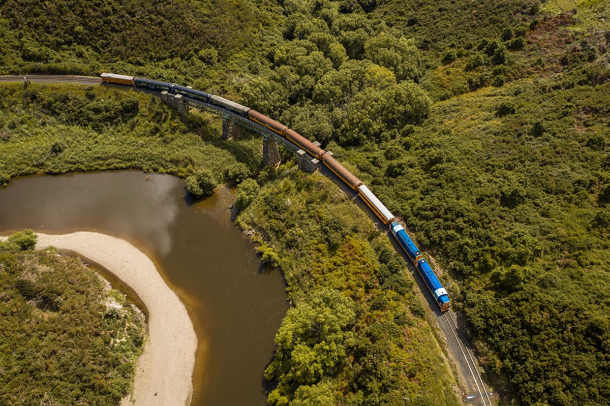 An aerial view shows The Taieri Gorge train traveling along a track winding through a hilly, yellow-blossom-covered landscape.