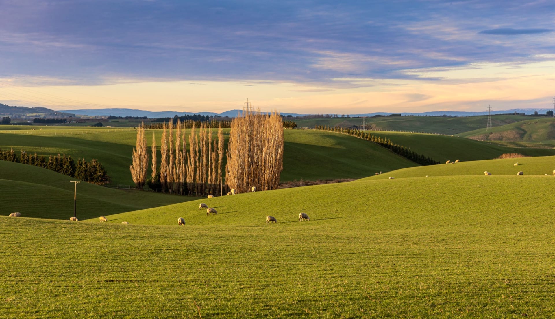 gore farm