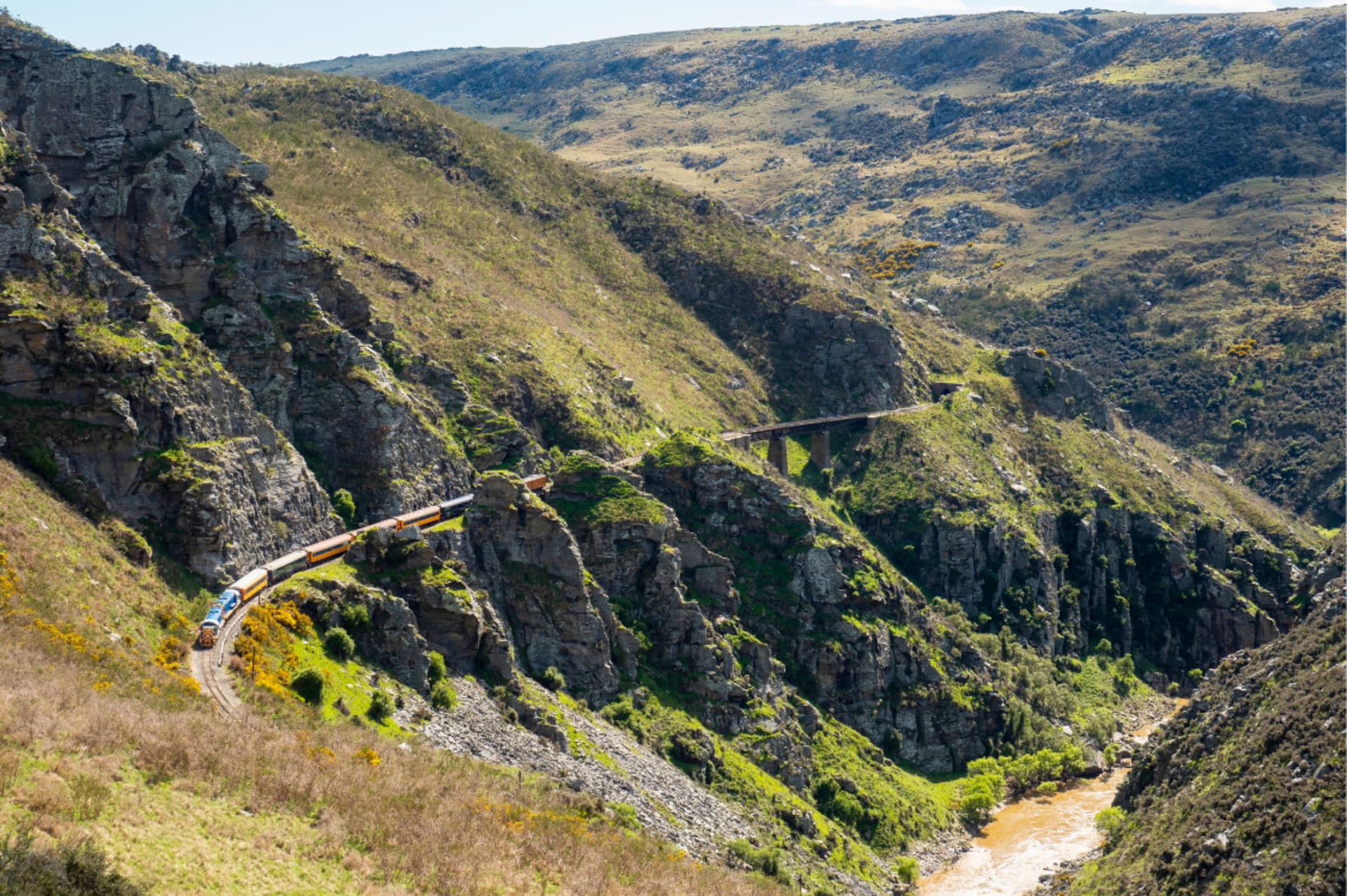 The Taieri Gorge train snakes along a winding track carved into a steep, rugged Taieri Otago gorge.