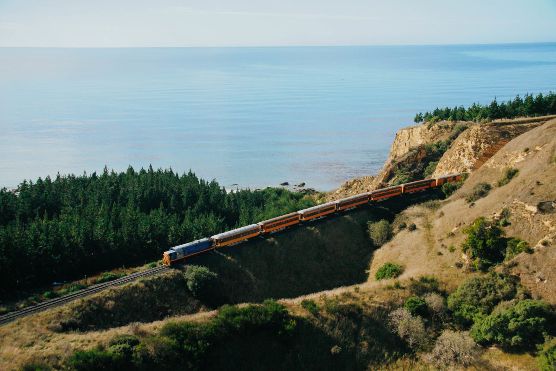 The Dunedin Railway Station train, The Seasider, with panoramic windows crosses a bridge over water and mudflats under a clear blue sky.