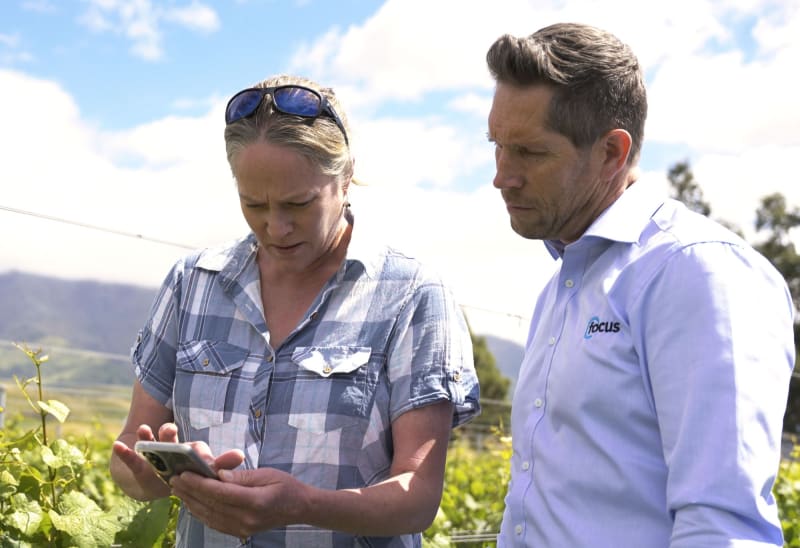 focus technology mora wines