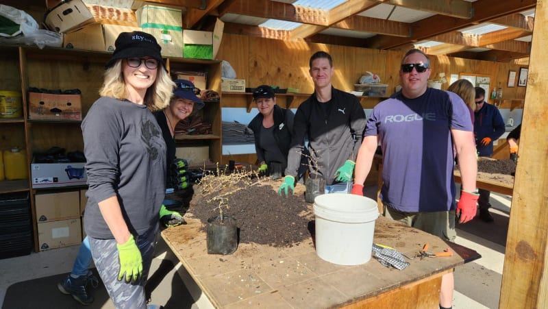 Queenstown Team on a mission to plant trees at the Jean Malpas Community Native Plat Nursery thumbnail