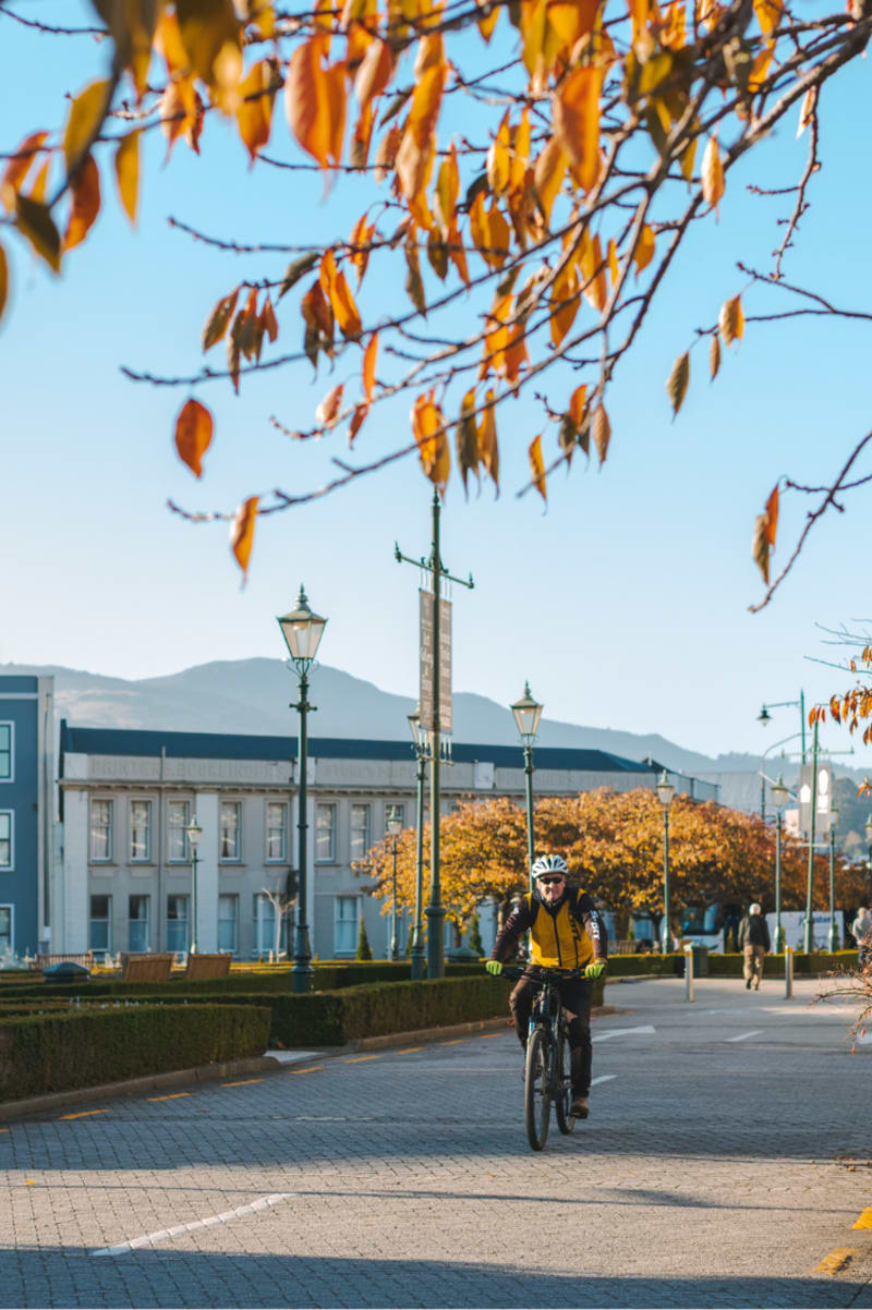 A cyclist in a yellow vest and helmet rides down a paved street beneath autumn trees and lampposts outside the Dunedin Railway Station.