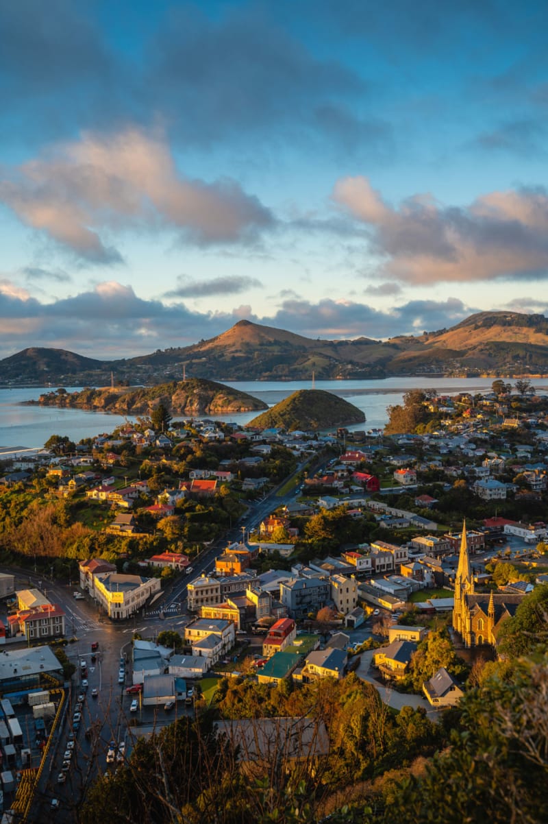 Aerial view of a sandy Dunedin  beach curving along a calm ocean, backed by rolling green hills and forests under a soft sky.