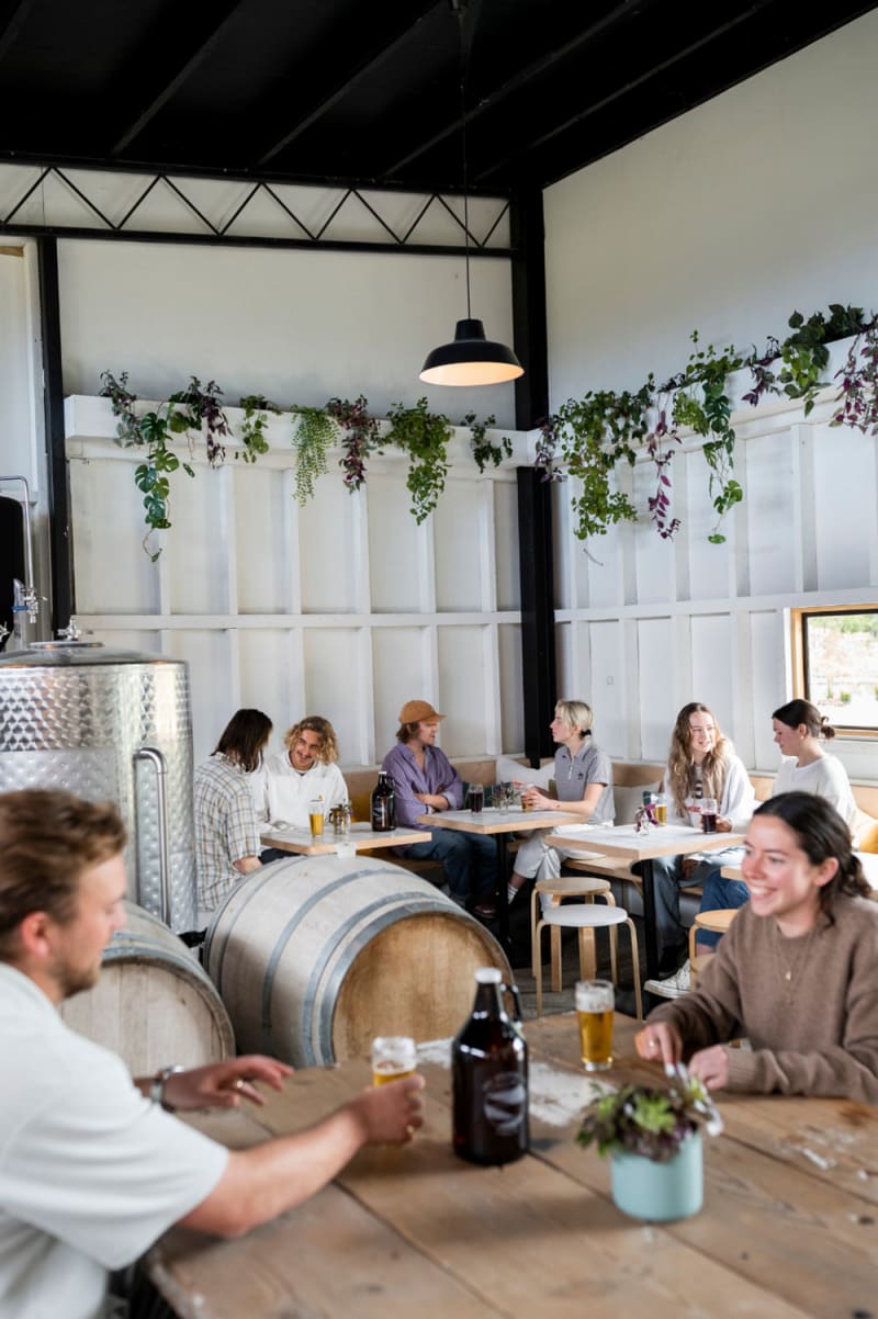 Two people clink glasses of beer together above a rustic wooden table in the Arc brewery.