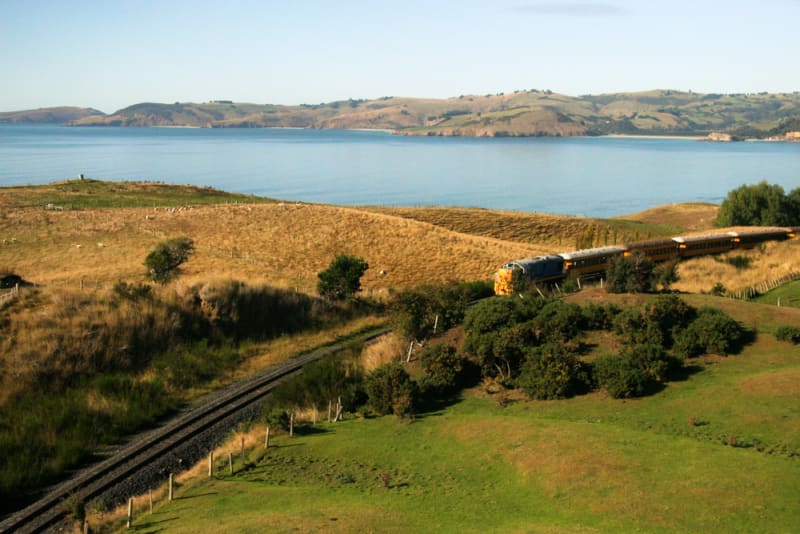 Aerial view of a rocky Otago, NZ headland covered in green trees, jutting into turquoise blue ocean water with a sandy Dunedin beach in the background.