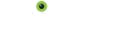 Qizzle