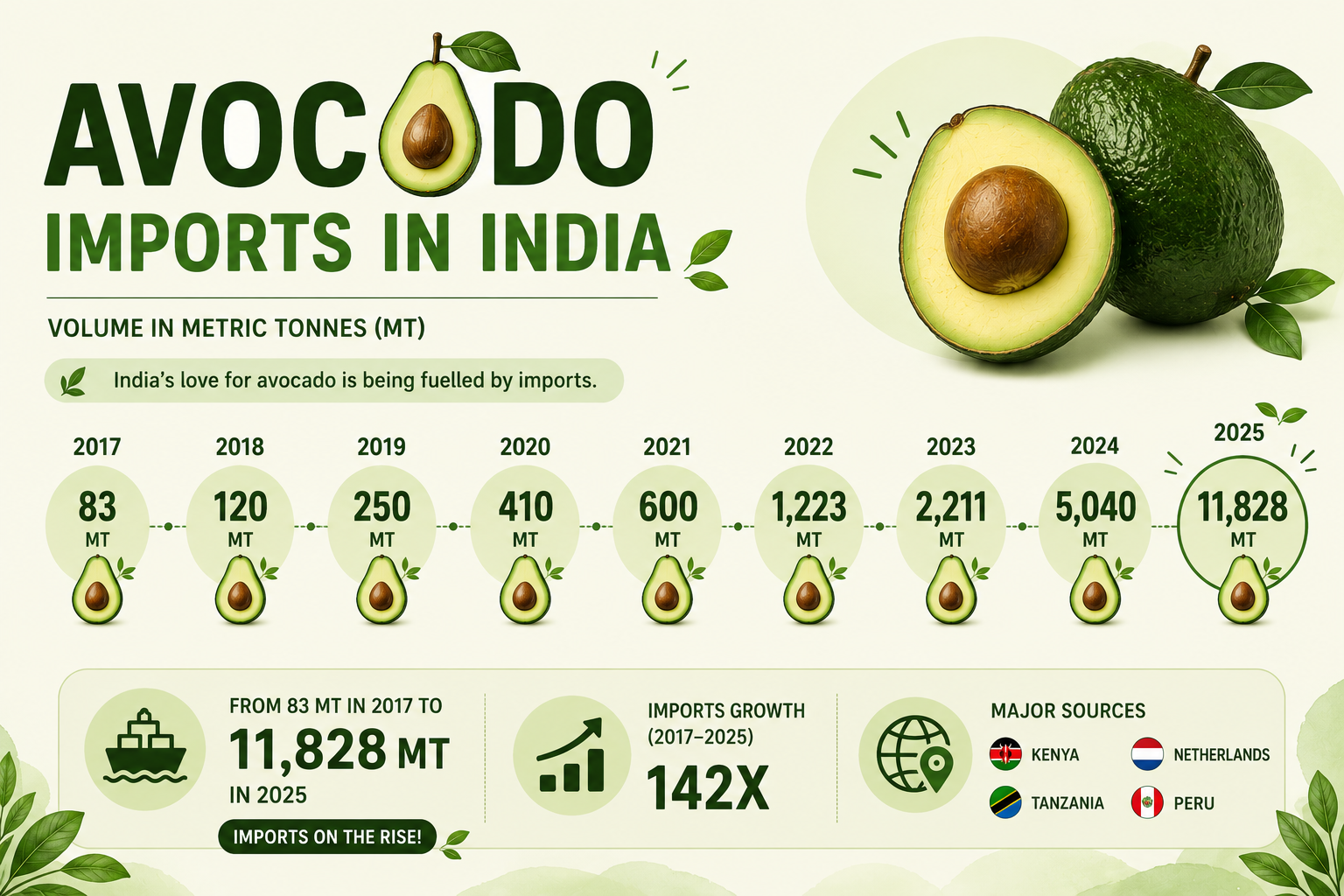 India’s avocado shift : From imported luxury to homegrown crop