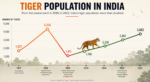 The numbers behind India's tiger revival