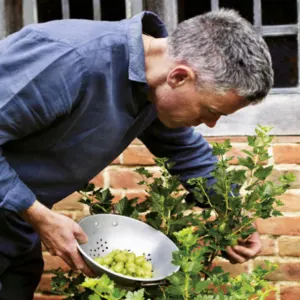 Monthly Meeting with Aaron Bertelsen